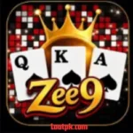 Download Zee9 Game APK for Android and iOS online earning app with easy login